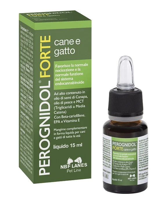 dottorbianchi1-2075536