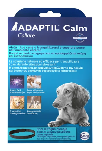 dottorbianchi1-2106266