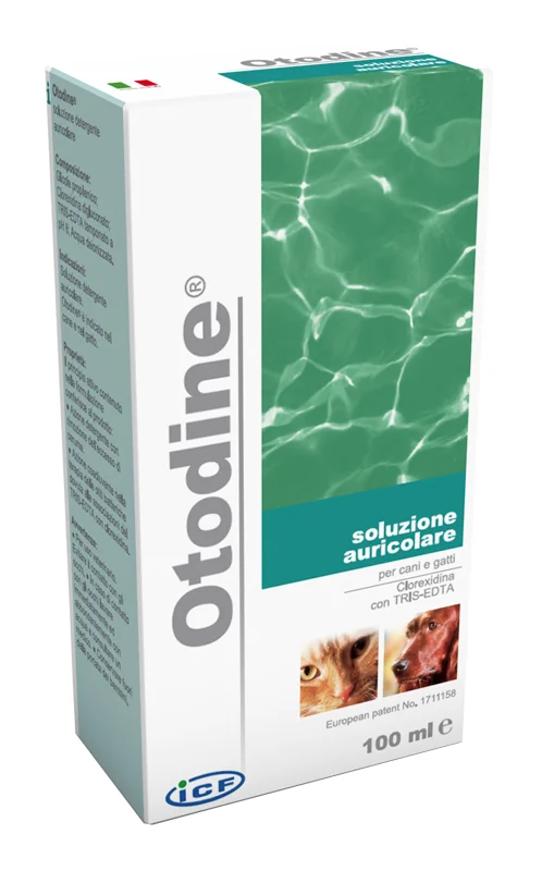 dottorbianchi1-2128103