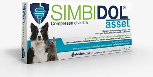 dottorbianchi2-2088967