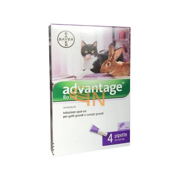 farmaciainlinea-2136875