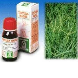 farmaciainlinea-2203824
