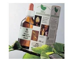 farmaciainlinea-2209324