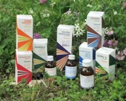 farmaciainlinea-2211560