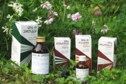 farmaciainlinea-2211600