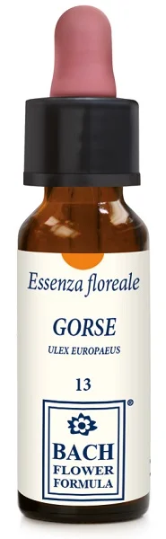 farmaciainlinea-2227071