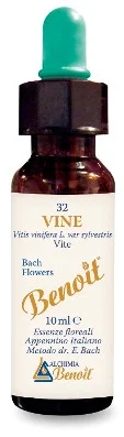 farmaciainlinea-2270752