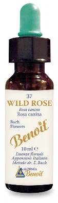 farmaciainlinea-2270770