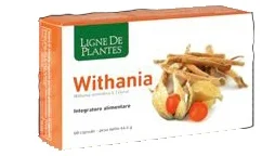 farmaciainlinea-2283610