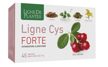 farmaciainlinea-2284742