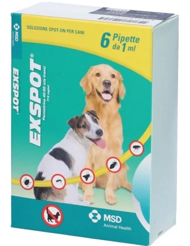 farmaciatrampetti-2171633