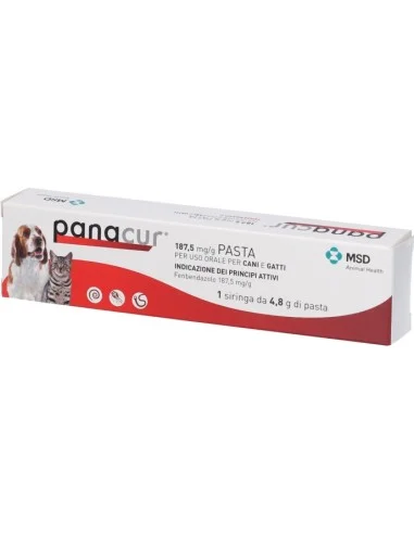 farmaciatrampetti-2199284