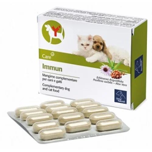 farmanika1-2166276