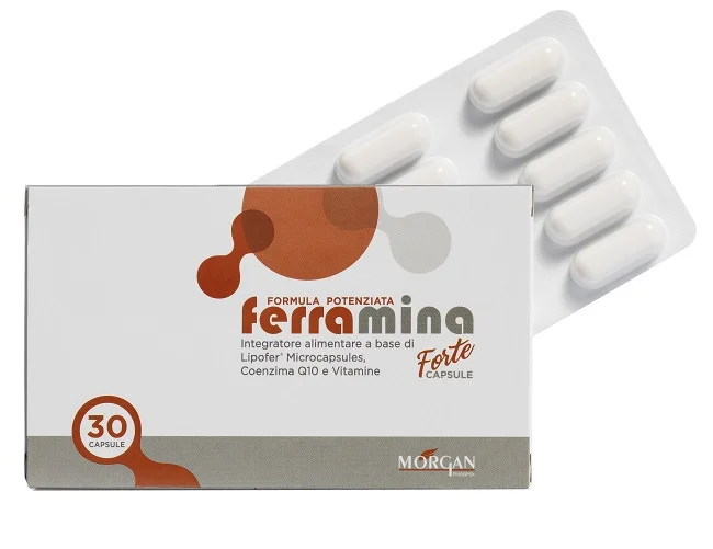 farmasconti1-2197938