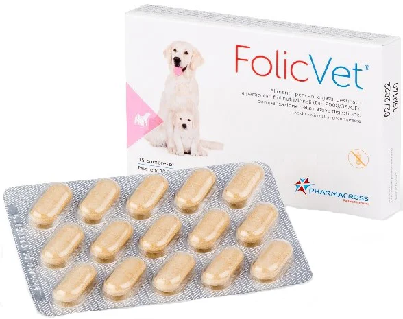 farmasconti1-2226326