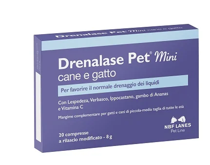 farmasconti2-2135678
