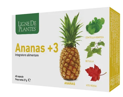 farmasconti2-2154766