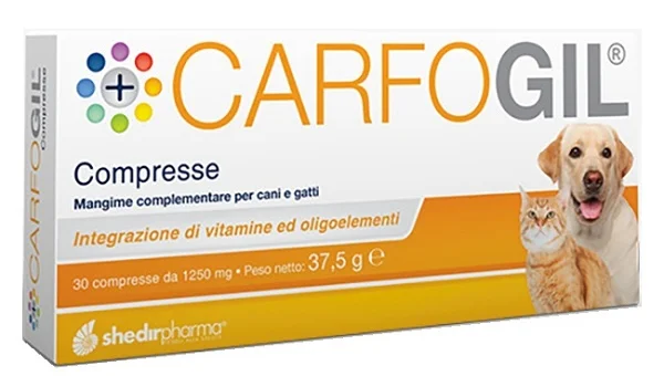 farmasconti2-2160137