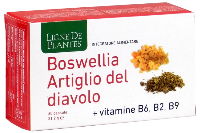 farmasconti2-2162244