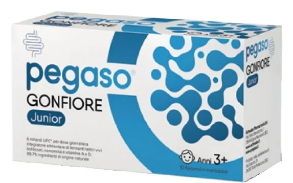 farmasconti2-2175101