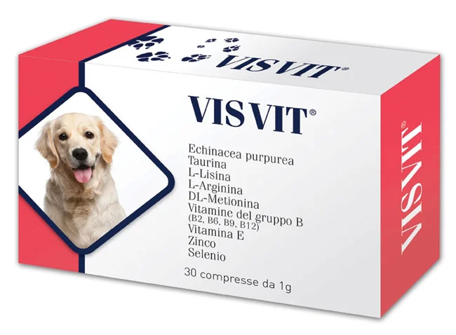 farmasconti2-2177700