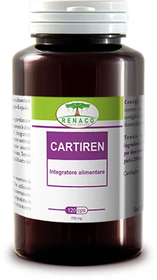 farmasconti2-2196067