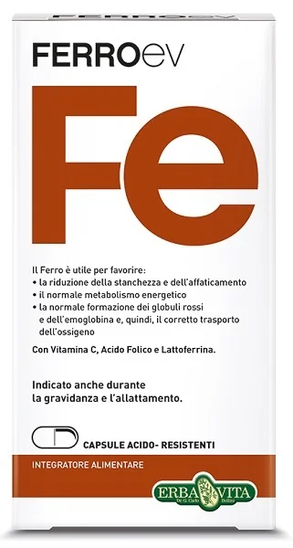 farmasconti2-2224754