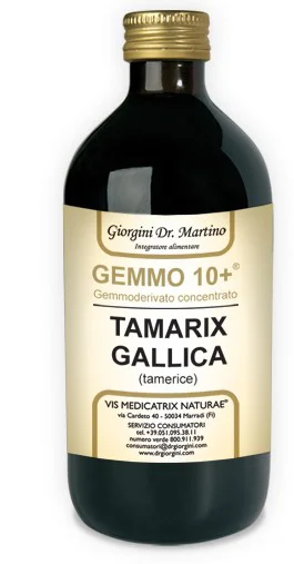 farmasconti2-2248644