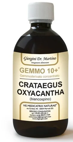 farmasconti2-2250255