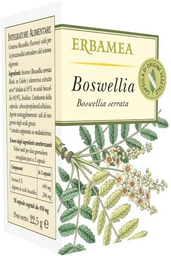 farmasconti2-2258489