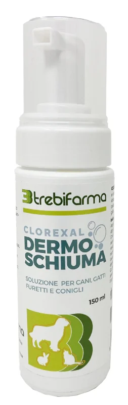 farmasconti2-2261199
