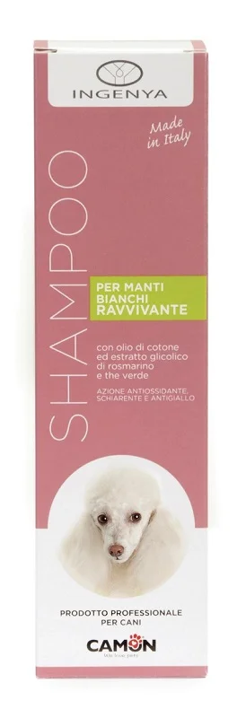 farmasconti3-2123361