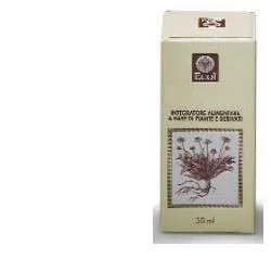 farmasconti3-2130579