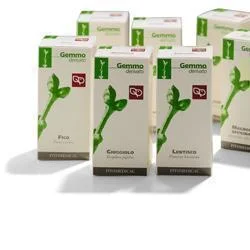 farmasconti3-2161079