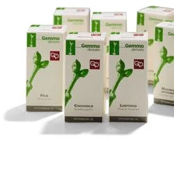 farmasconti3-2161294