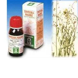 farmasconti3-2235145