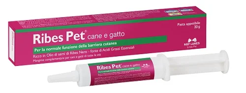 farmasconti3-2244317