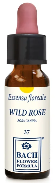 farmasconti3-2257122
