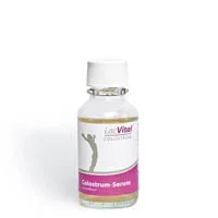 vicnic2056923